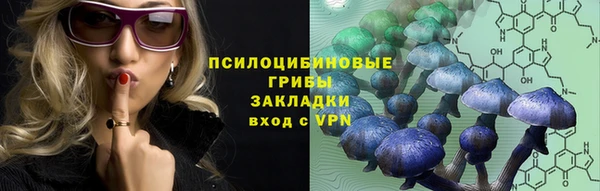 а пвп мука Алзамай
