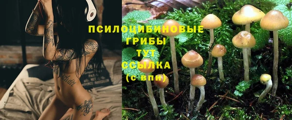 а пвп мука Алзамай